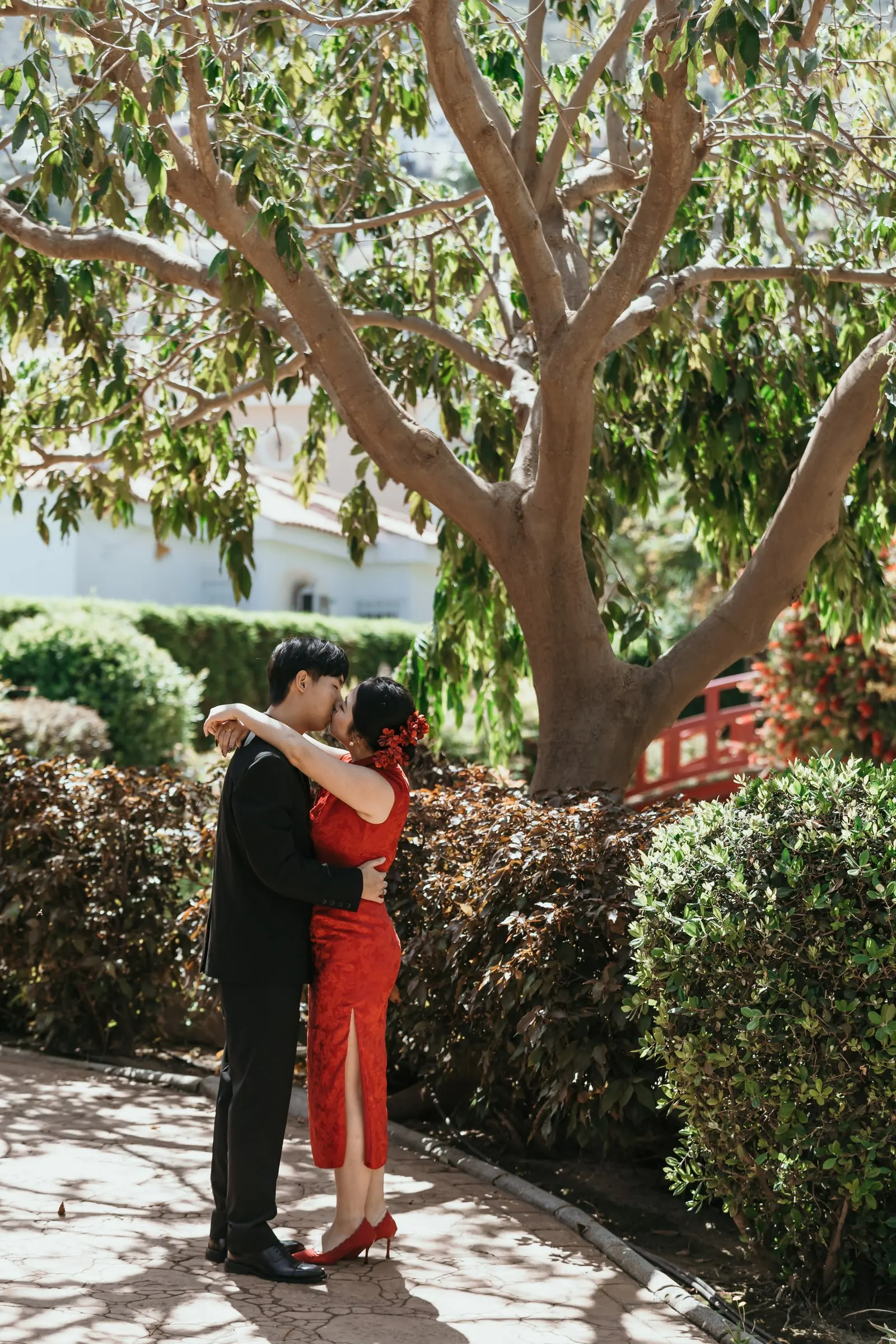 Couple about to kiss under the spreading branches of a tree, Jardín Oriental Bienquerido