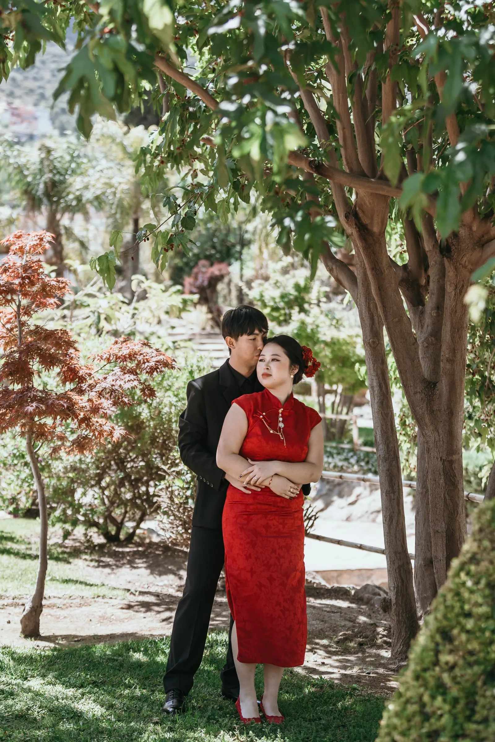 Fiancé holding the bride-to-be from behind under a tree, a red Japanese maple beside them