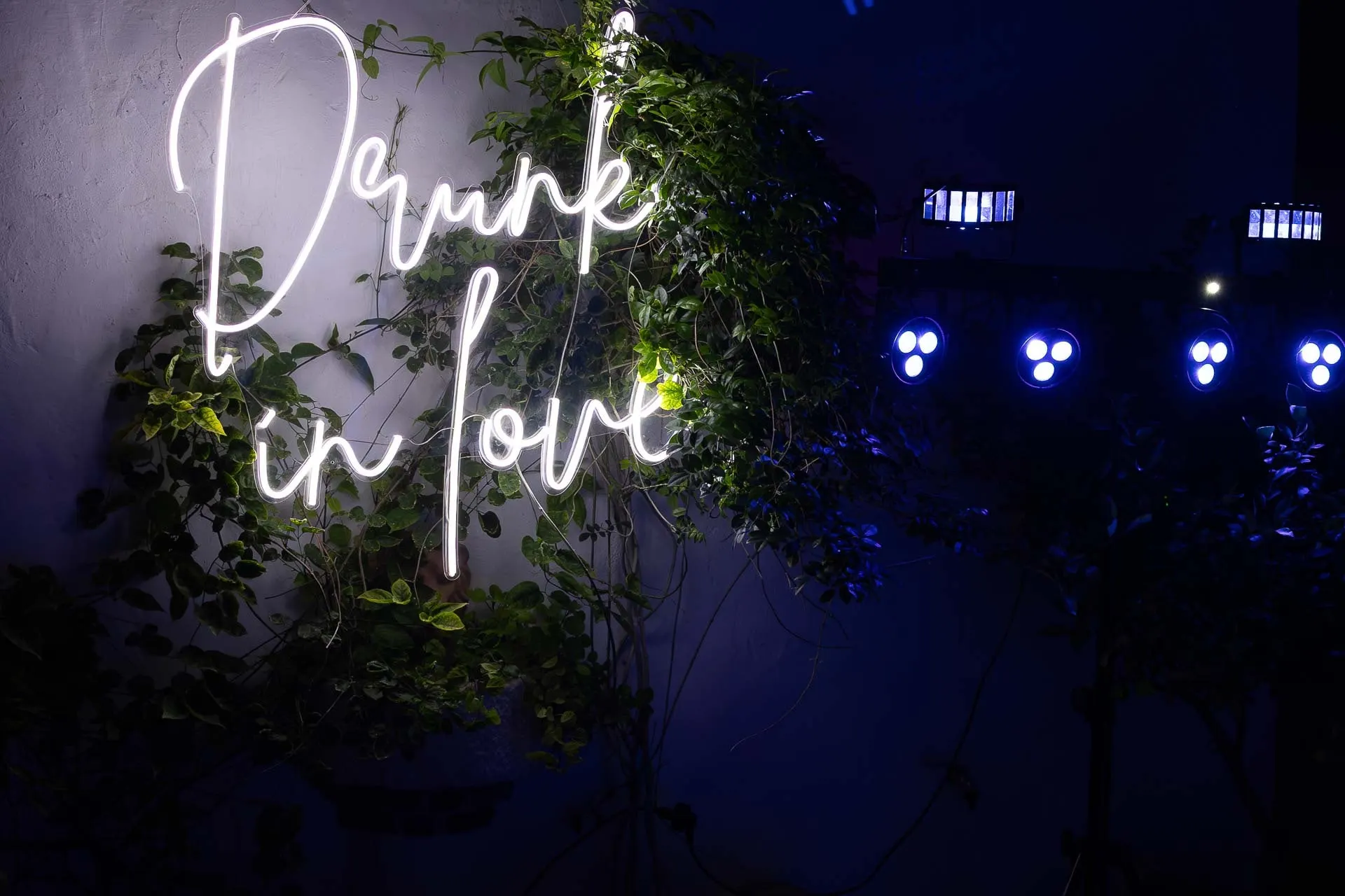 'Drunk in love' neon sign glowing on a leafy wall at the evening party, Hacienda San José, Mijas