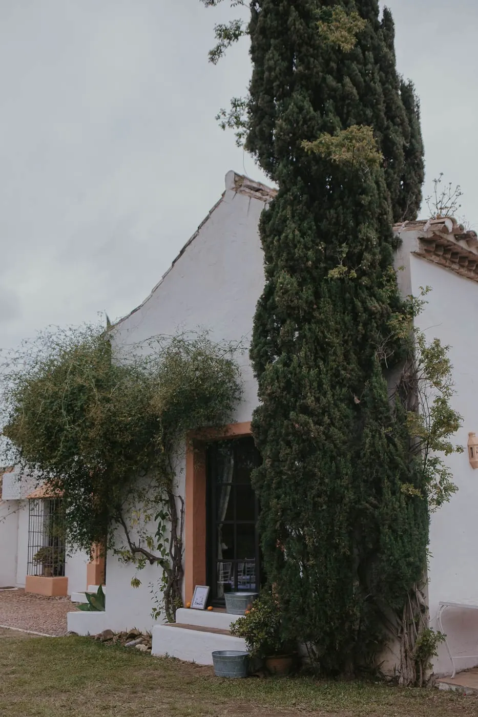 Whitewashed cottage with a tall cypress and climbing plants in the hacienda gardens, Hacienda San José, Mijas