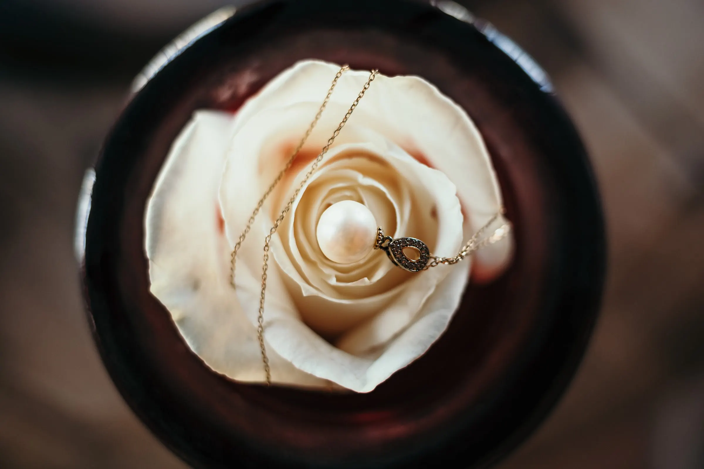 Close-up of a gold necklace resting on a cream rose, framed by a dark circle, Hacienda San José, Mijas