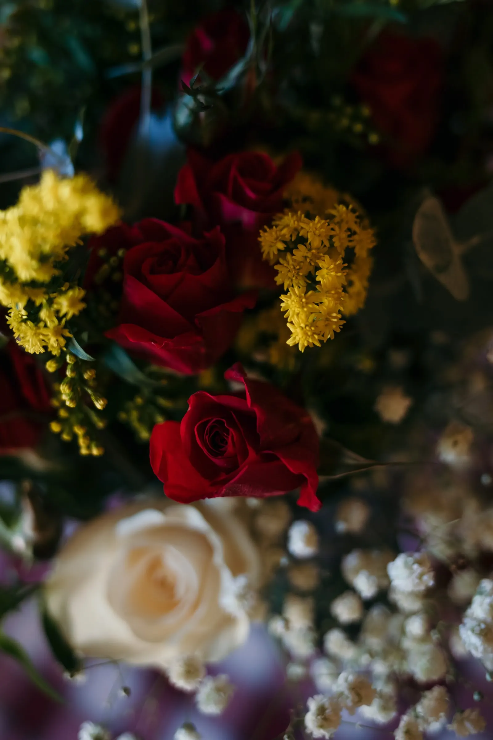 Close-up of red and white roses with yellow wildflowers in a floral display, Hacienda San José, Mijas