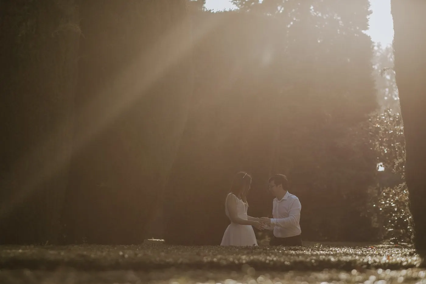 Couple holding hands in a beam of sunlight between the hedges