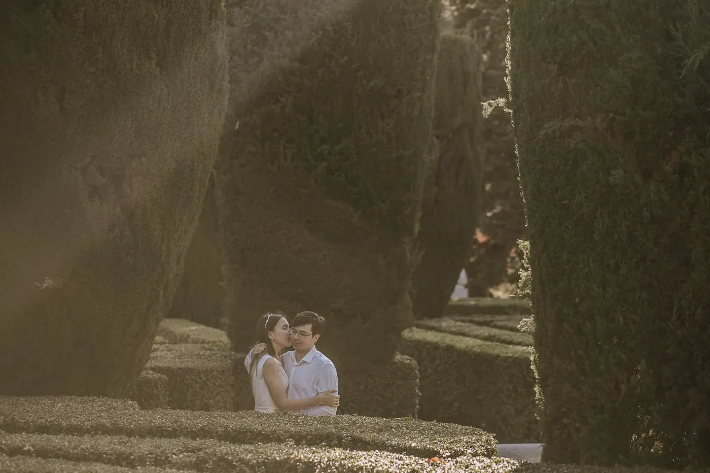 Bride and groom cuddling among the hedges as the light pours in