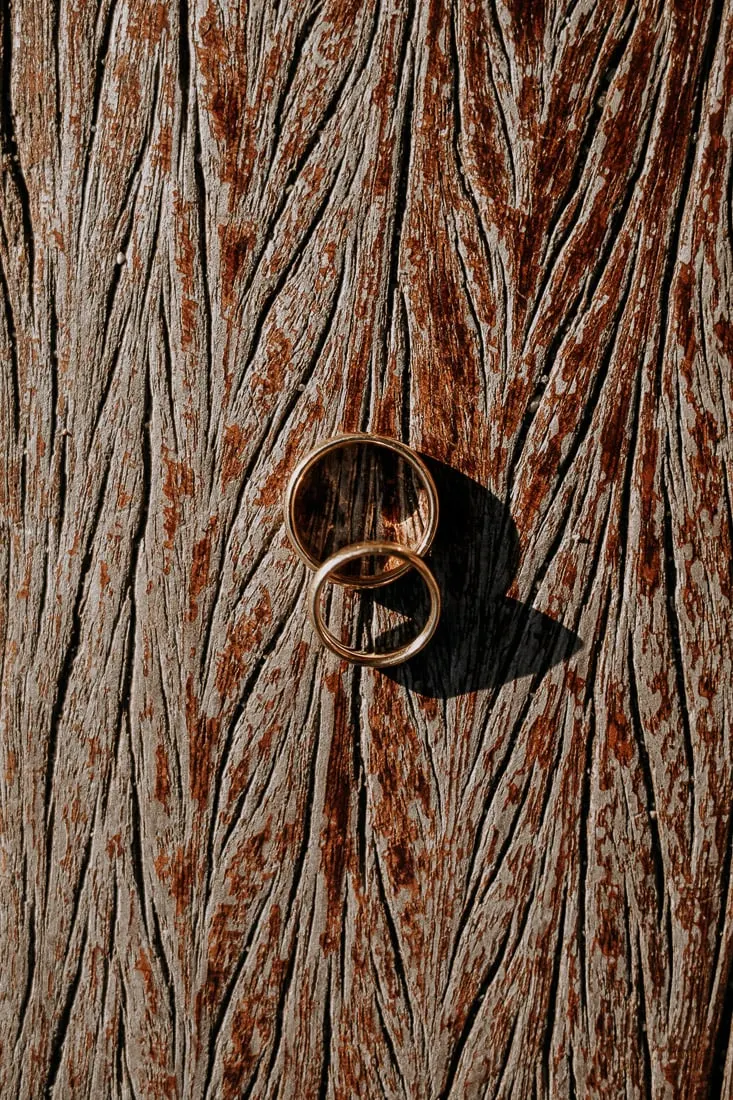 Two wedding rings resting on the bark of a tree